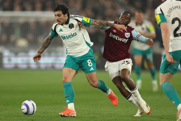 本文试图从 本文试图从